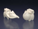 販売品