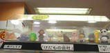 けだもの