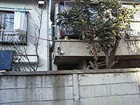 S-P1000001