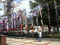 S-P1000023