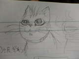 リアルねこにゃん