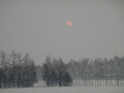IMGP2175