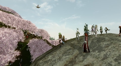 ScreenShot2324