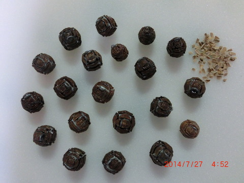 CIMG2410