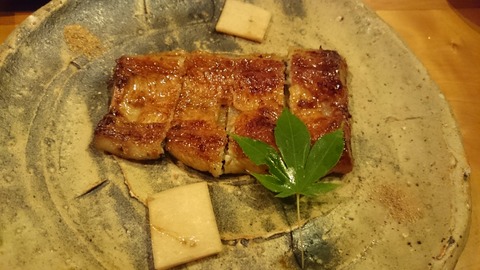 unagi
