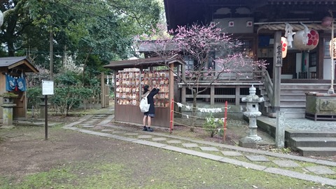 神頼み