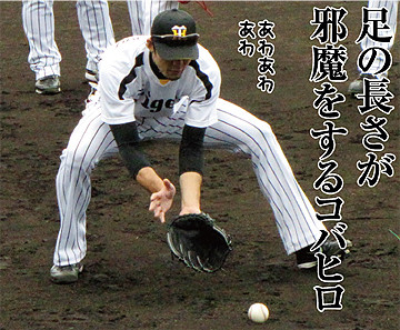 14 のコピー