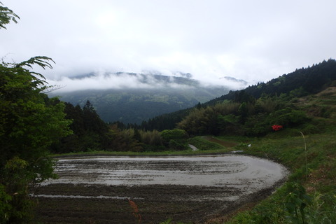 P5051320