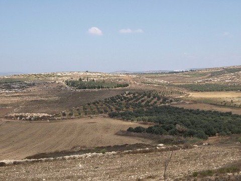 nahal-zippori
