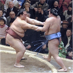 豪栄道、稀勢の里