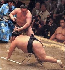 白鵬、若荒雄