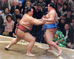 稀勢の里、豪栄道