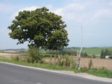 P1030944