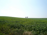 P1030949