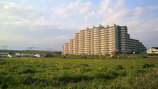 b37f9cde.jpg