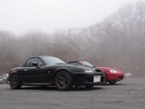 RIMG2994