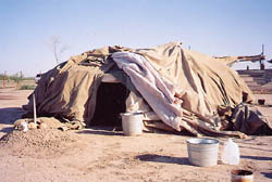 house250