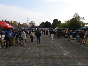 PB290013