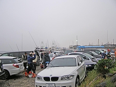 P7250027-1