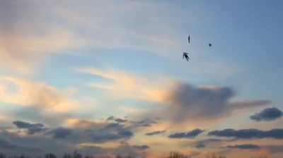 2012y01m31d_235034131