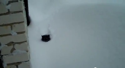 2012y02m08d_081404644