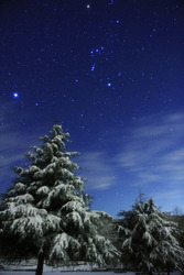 img_905738_32809274_0