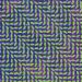 animal collective