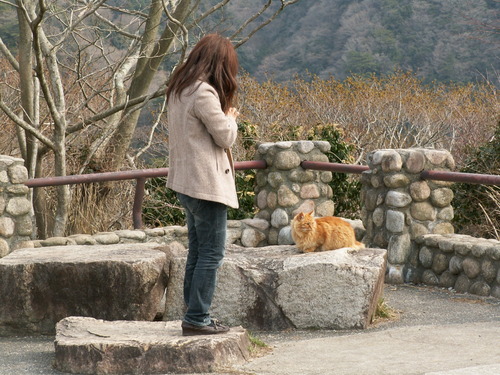 PICT0091