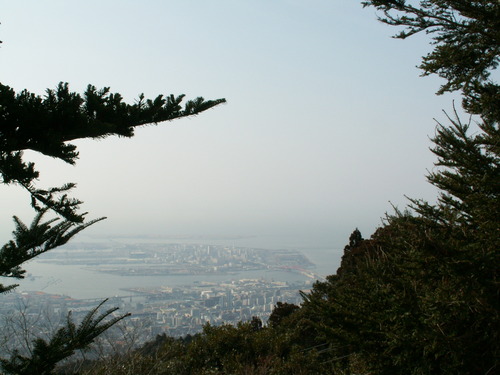 PICT0041