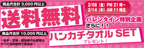 バレンタイン送料無料キャンペーン
