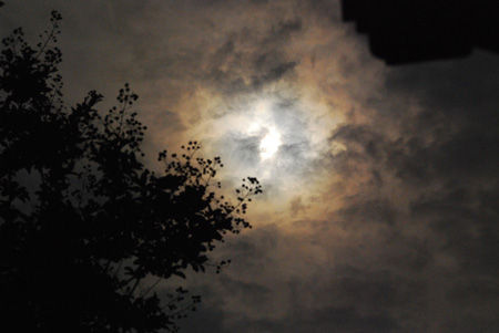 DSC_2480+