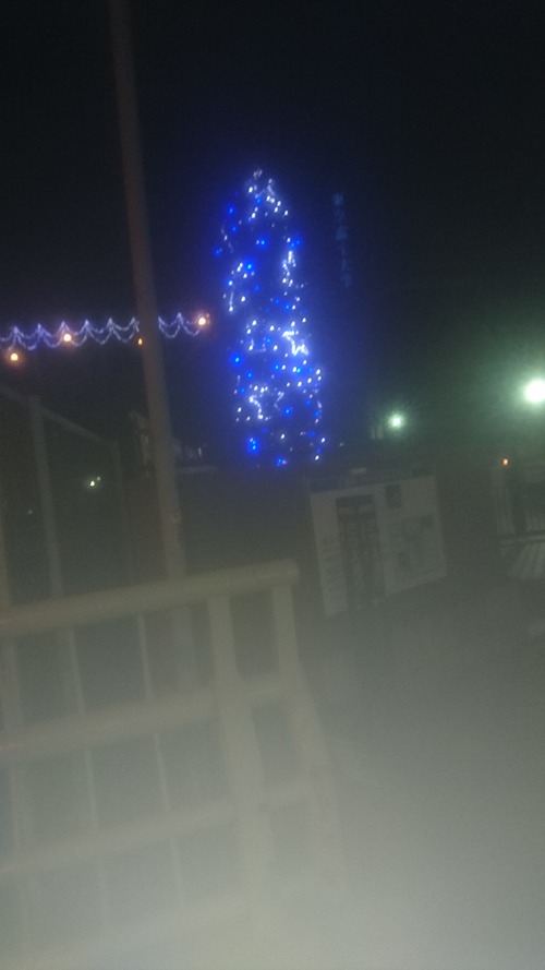 散歩3