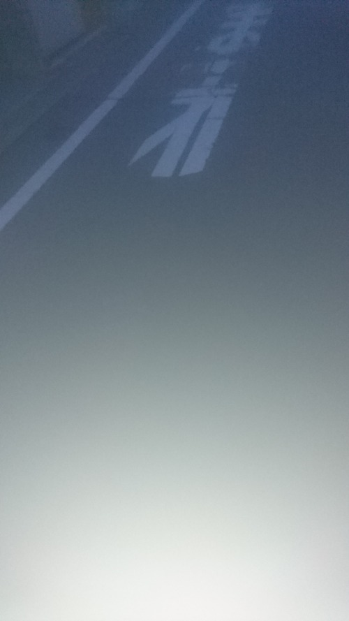 散歩4