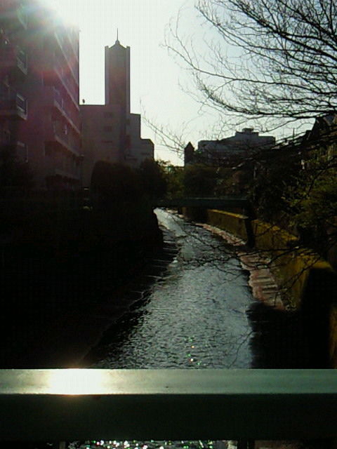 さくら2011