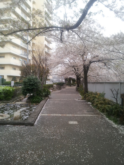 20140406_151126