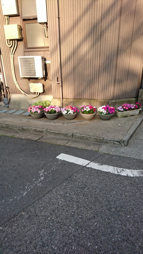 お花