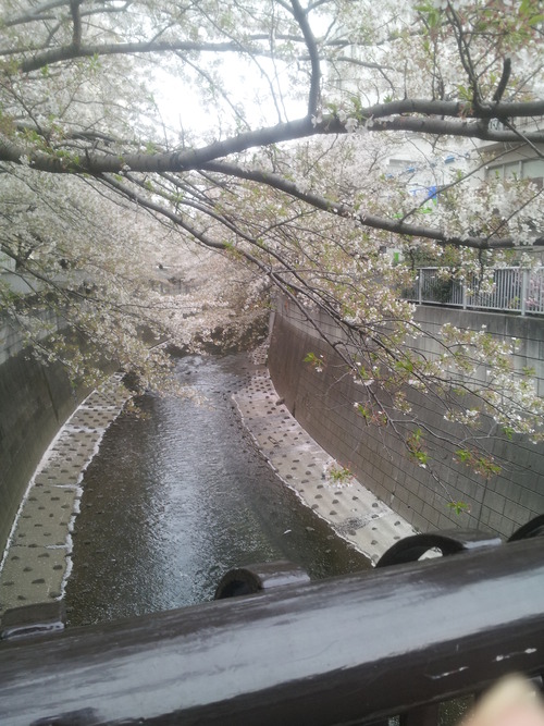 20140406_151036