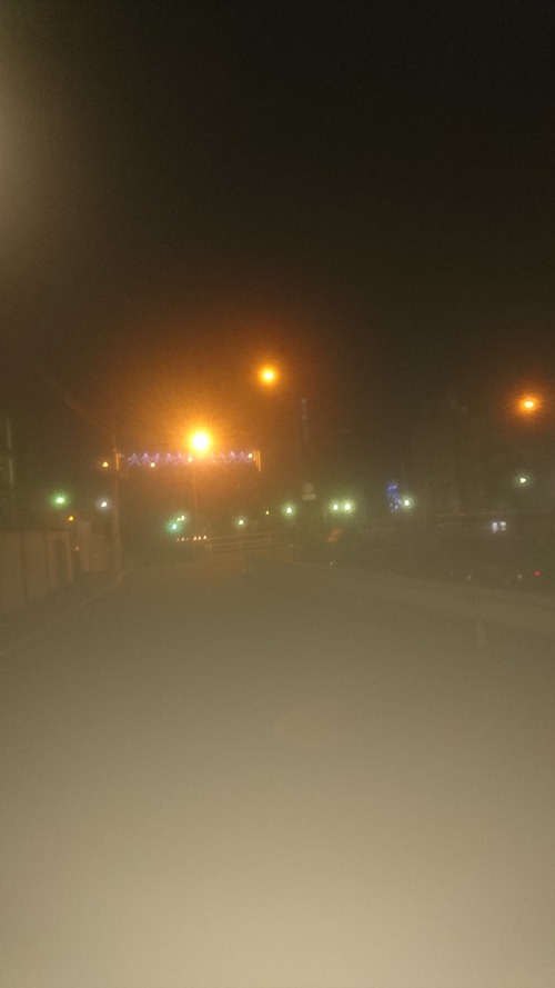 散歩2