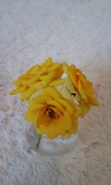 f7052852.jpg