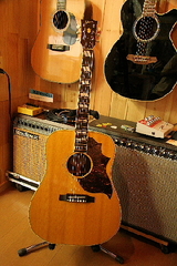 829f968a.JPG