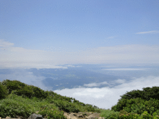 山頂からの風景