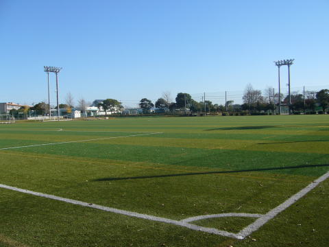 P10008011