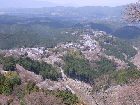 DSC02659