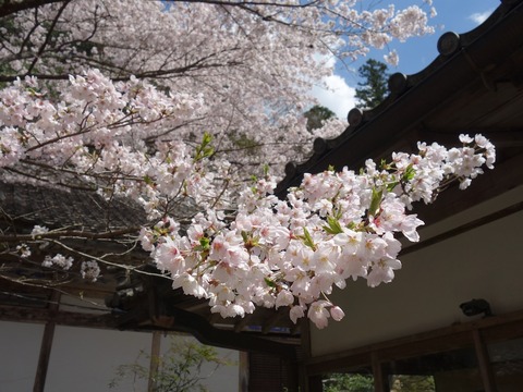 DSC02702