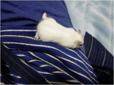 くるる (8)