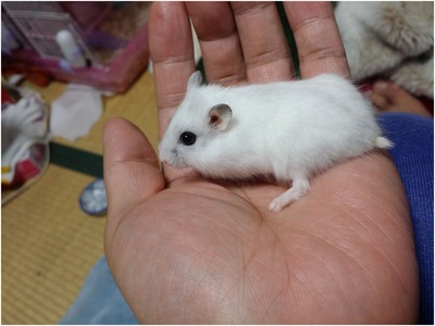 くるる (3)