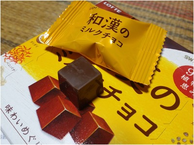 和漢のミルクチョコ (6)