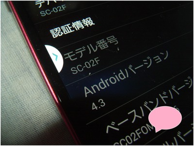 SC-02F (14)
