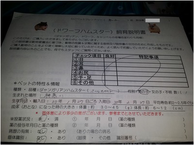 くるる