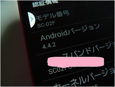 SC-02F (25)